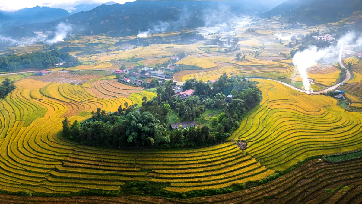 Sapa