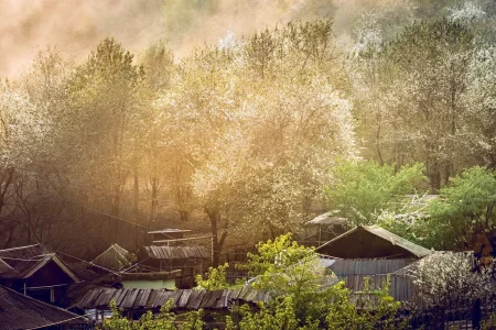 Ta Xua Named Asia’s Leading Emerging Tourism Destination 2026