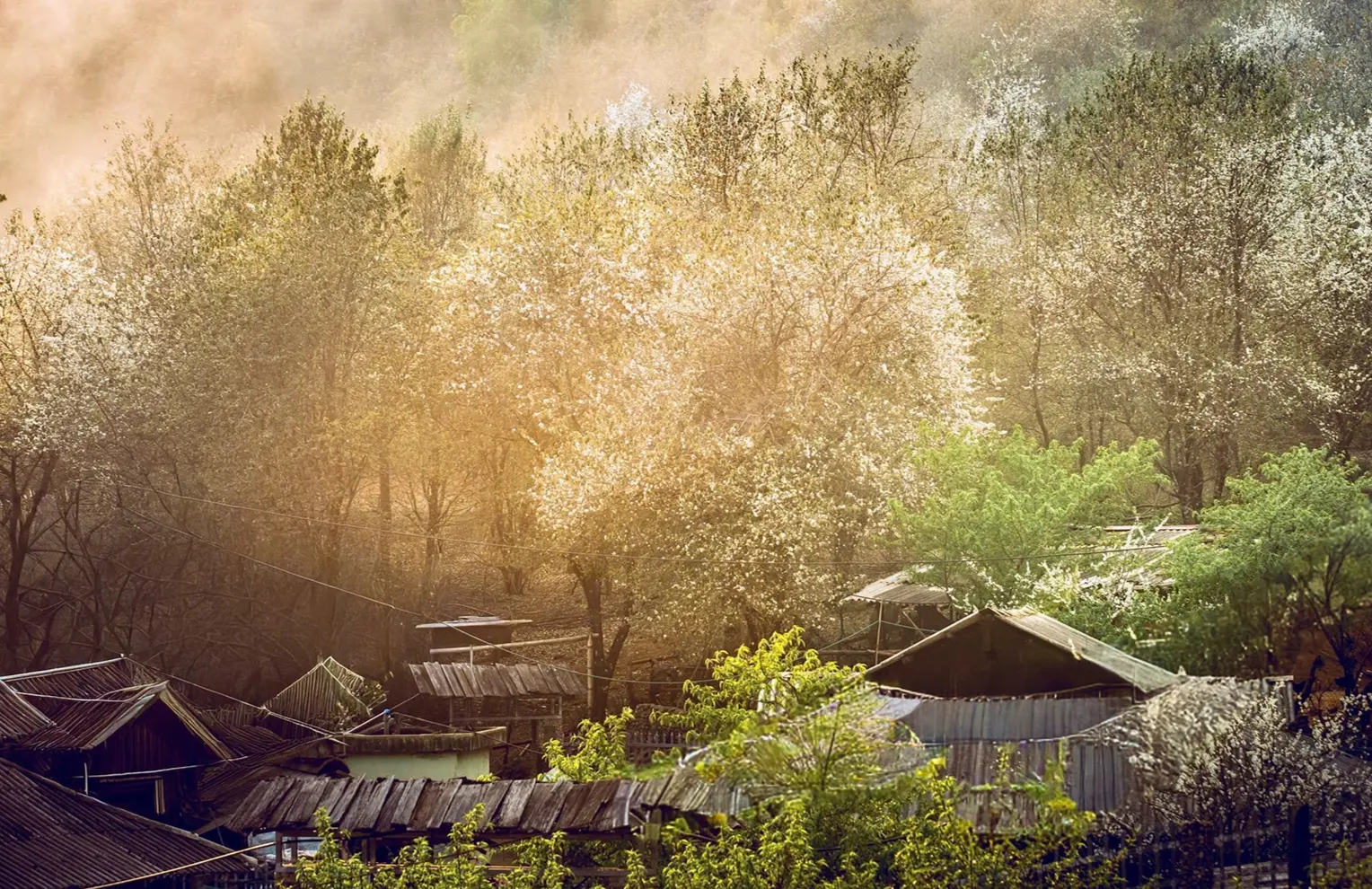 Highland village in northern Vietnam — Moc Chau is home to Thai, Hmong, and Dao ethnic communities
