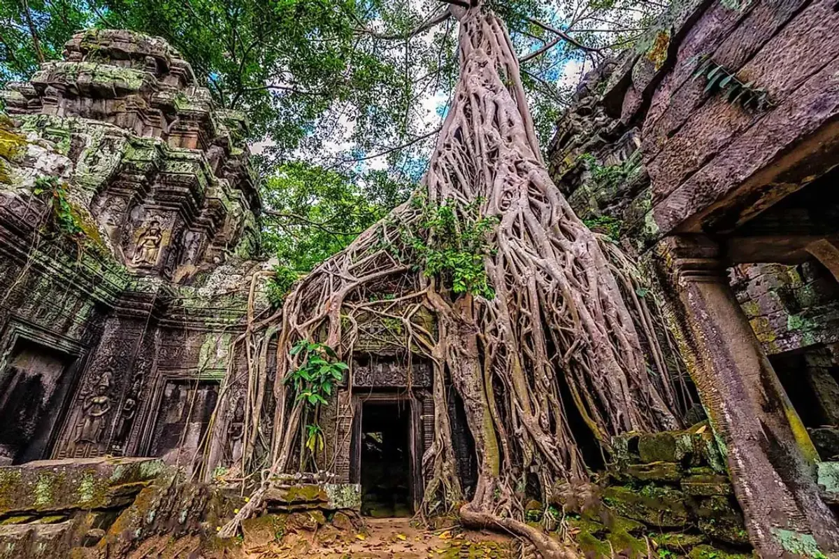 Ta Prohm — jungle roots and ancient stone
