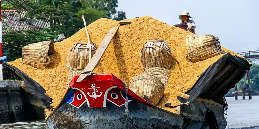 Vietnam Active Adventure 14 Days — Mekong Delta