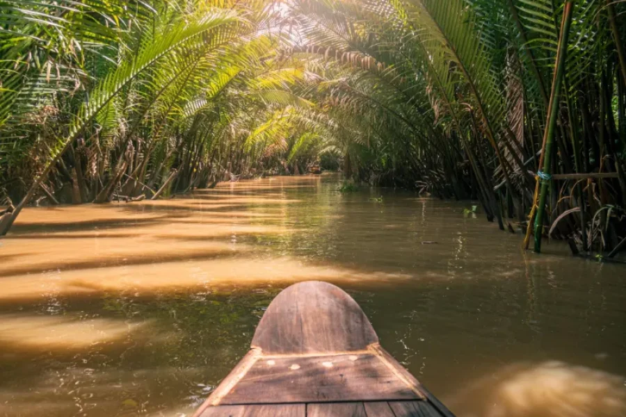 boat to cannal mekong delta