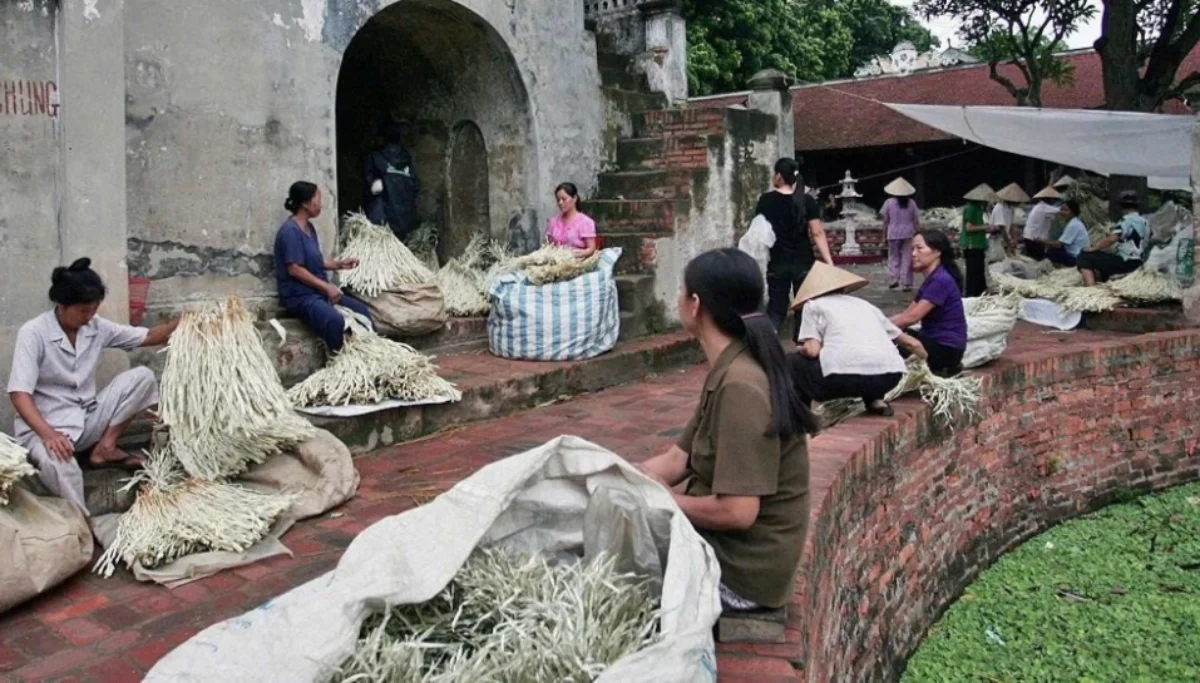 Vietnam Art and Craft Journey — Chuong village hat making