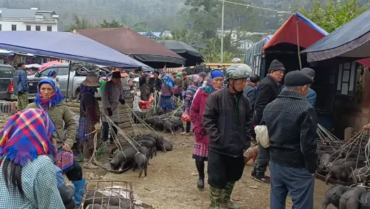 Bac Ha — northern hill tribe market