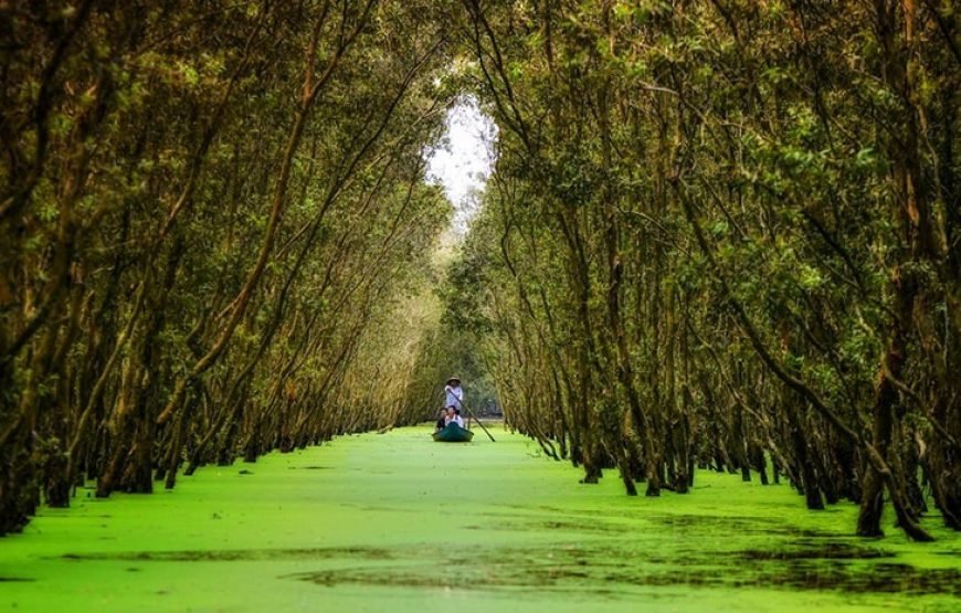 Discover the Enchanting Mekong Delta: A Journey through Southern Waterland of Vietnam